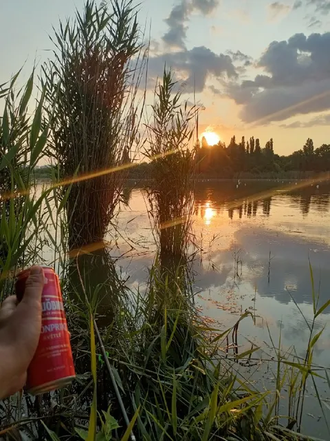 Ну и вечерочек у водоёма