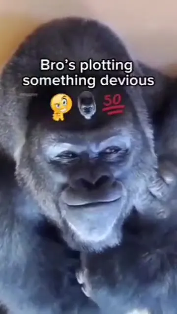 Bro Is Plotting Something Devious
