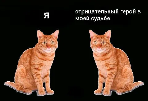 Отрицательный герой в моей судьбе