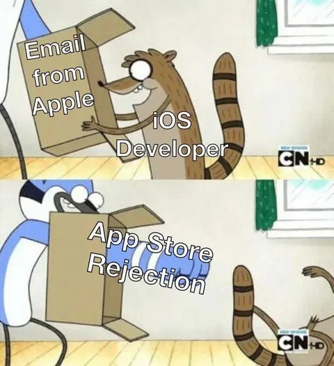 iOS Developer App Store Rejection