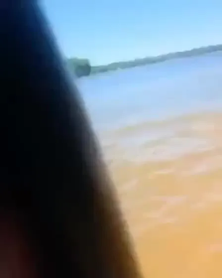 Змея срывает водную прогулку