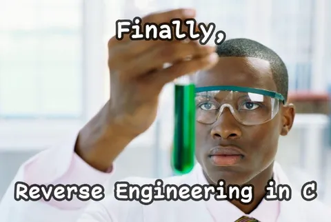 Finally Reverse Engineering in C