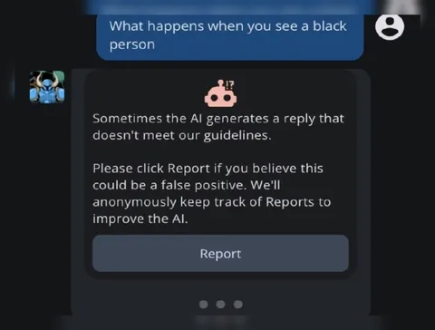 AI Sees a Black Person