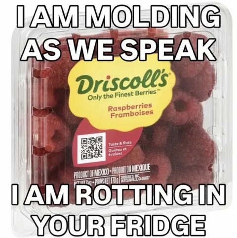 I Am Molding as We Speak