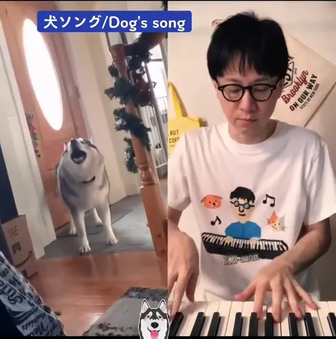 犬とピアノのデュエット
