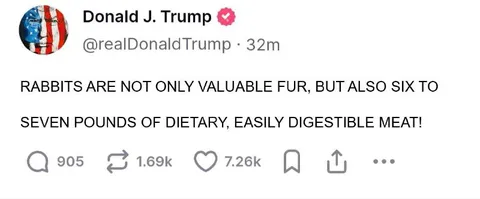 Trump's Rabbit Meat Tweet