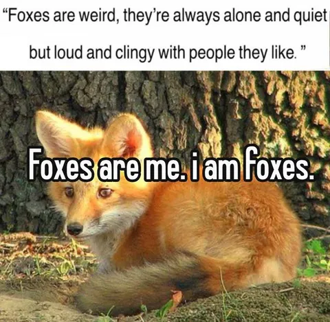 Foxes Are Me