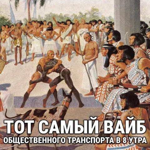 Вайб общественного транспорта в 8 утра