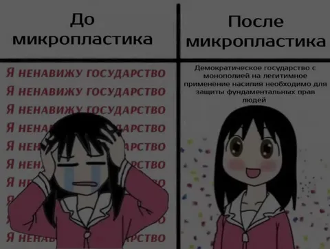 До и после микропластики