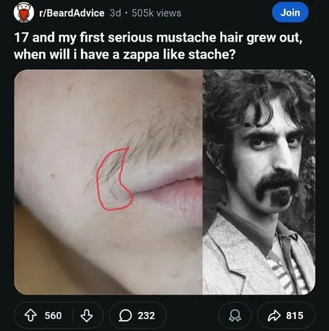 Waiting for a Zappa mustache