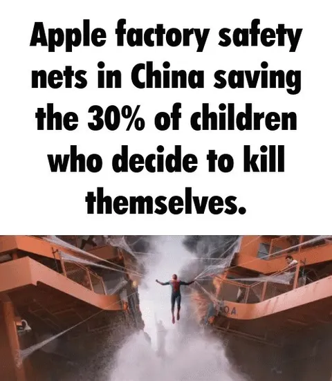 Apple Factory Safety Nets