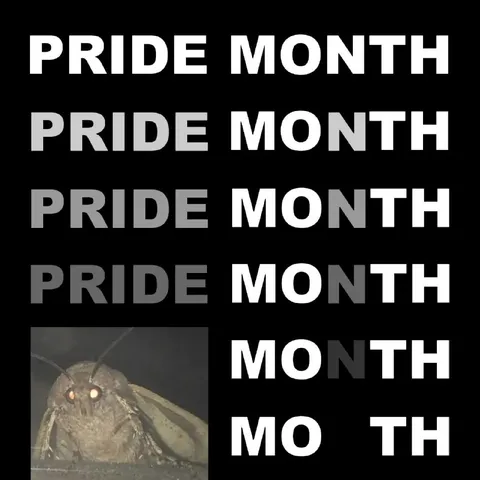 Pride Month Moth