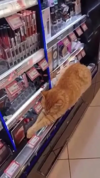 A Normal Day in Istanbul