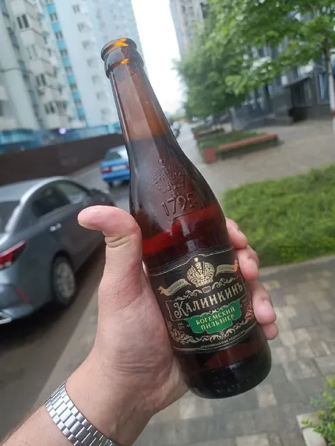 Калинкинъ и богемский пильзнер