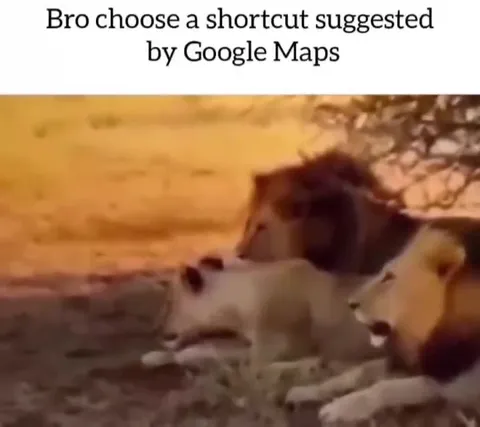 Google Maps Shortcut Through Lions