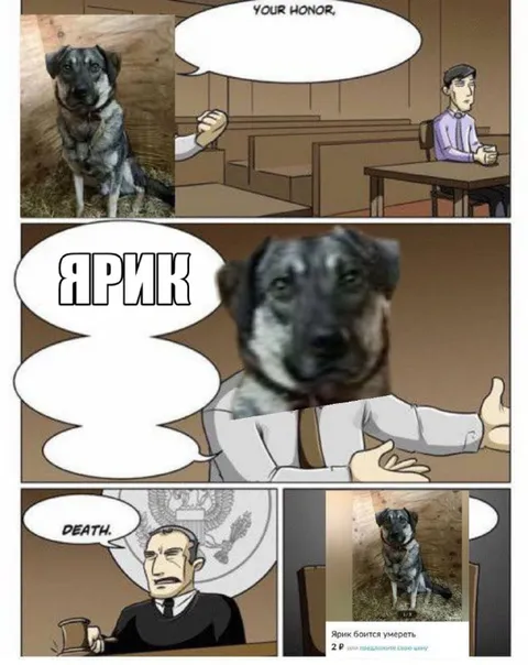 Ярик боится умереть
