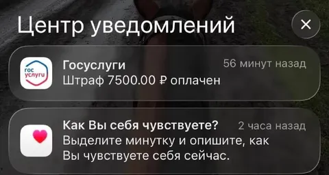 Штраф оплачен, чувства тоже