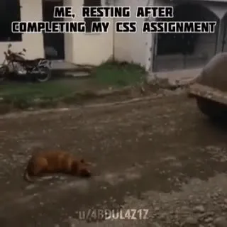 Resting After Completing My Assignment