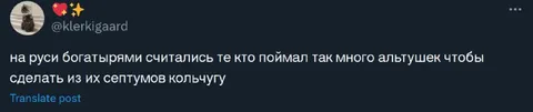 Богатырь с кольчугой из септумов