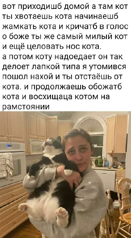 Кот, которого слишком любят