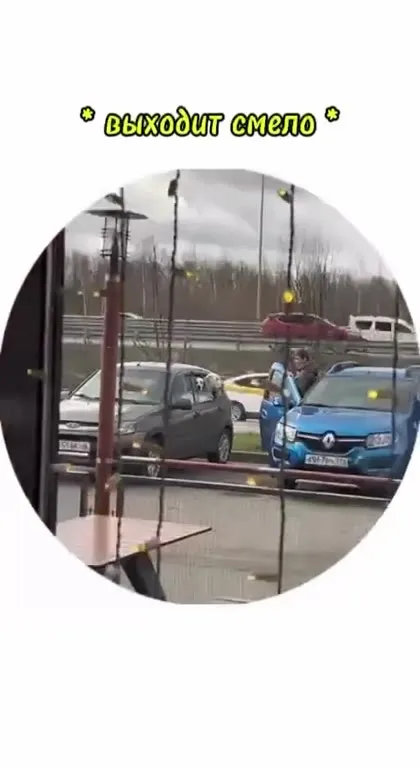 Алабай испугал женщину