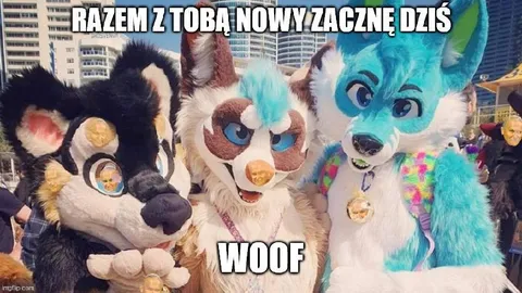 Futrzaki zaczynają od nowa