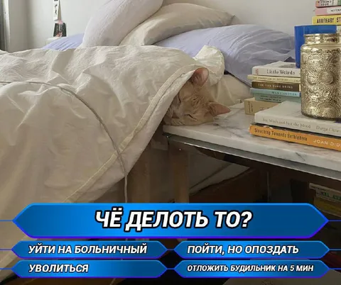 Чё делать утром