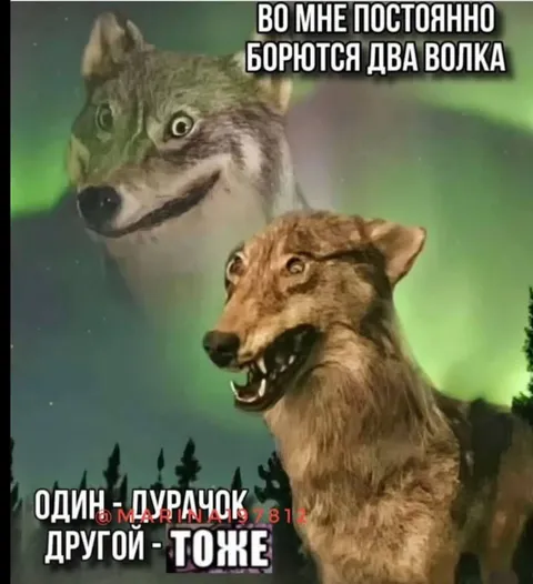 Во мне постоянно борются два волка