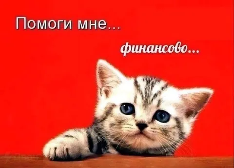 Помоги мне финансово
