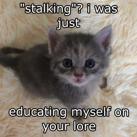 Kitten Studying Your Lore