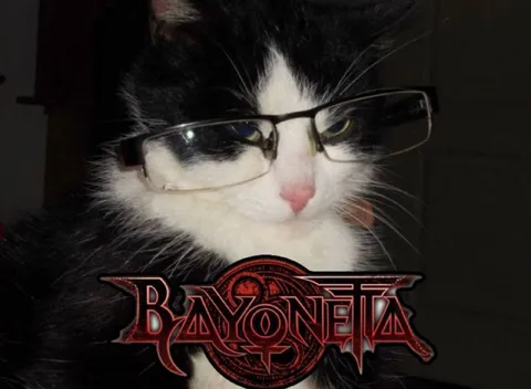Bayonetta Cat in Glasses