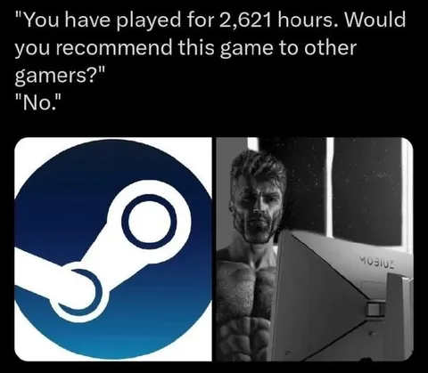 Steam Review After 2621 Hours