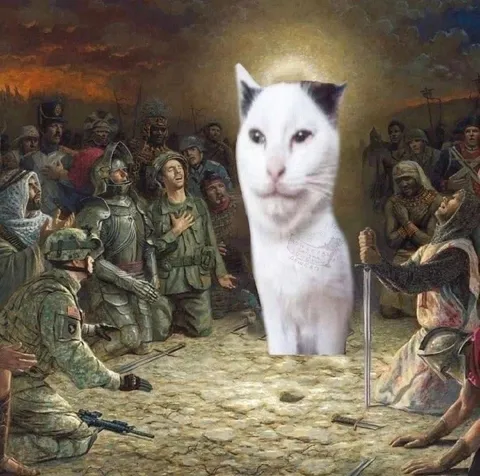 Белый кот явился на поле боя