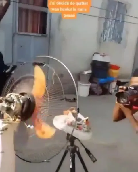 Quitter son boulot pour sa passion