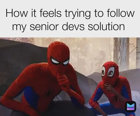 Following the Senior Dev's Solution