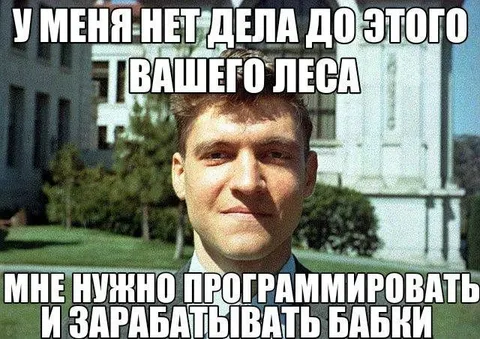 Программировать и зарабатывать бабки