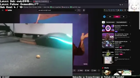 Ladybug Spinning on Mousepad