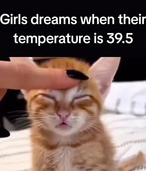 Fever Dreams: Girls vs Guys