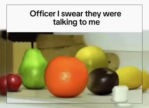Officer Says Fruits Talked to Him