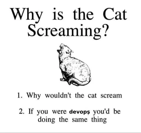 Why Is the Cat Screaming?