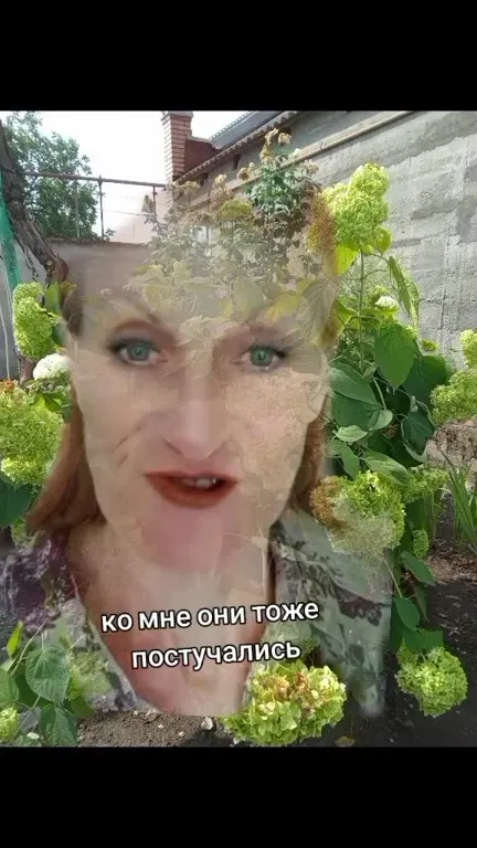 Тук-тук, к тебе стучат деньги