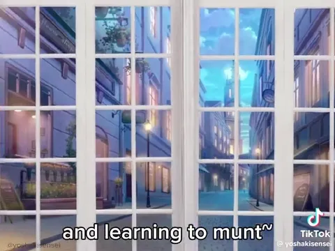 Anime Girl Feels Skibidi