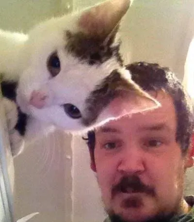 Кот на голове у мужчины