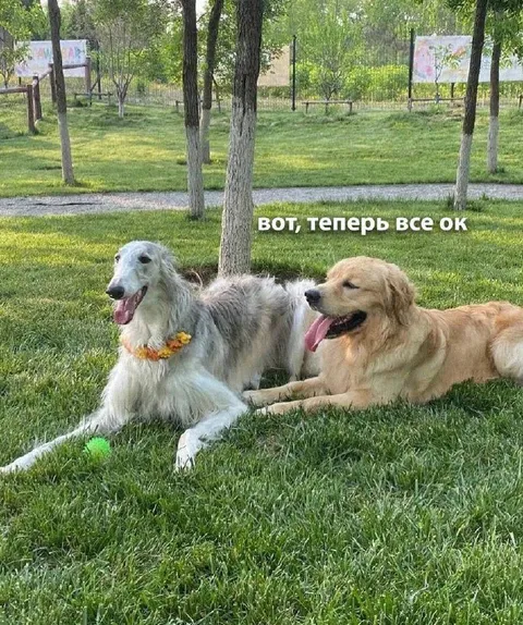 Вот, теперь все ок