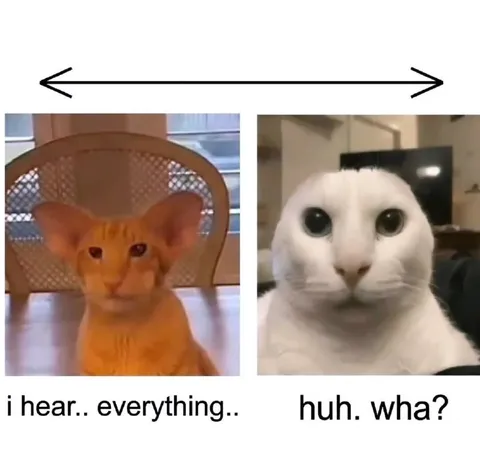 I Hear Everything Huh What