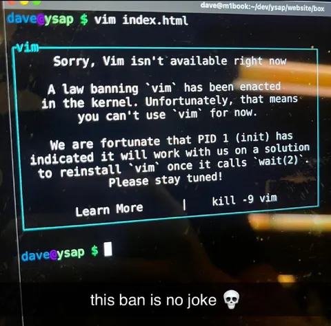 Vim Ban Is No Joke