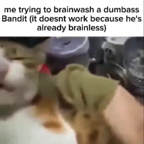 Trying to Brainwash a Brainless Cat