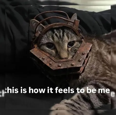 Cat in an Iron Mask