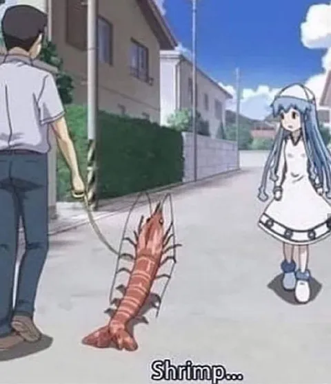 Walking a Giant Shrimp