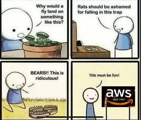 AWS Free Tier Trap